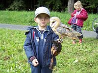 (114 von 243) : KIGA Hausen Waldwoche